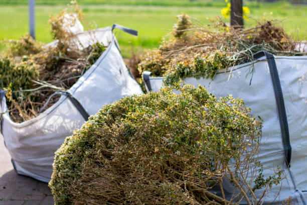 Best Dumpster Rental Services  in Middleborough Center, MA
